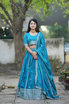 Classical Embroidery Lehenga-choli