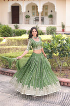 Festive Zari Sequins Lehenga Choli