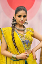 Elephant Lehenga-choli
