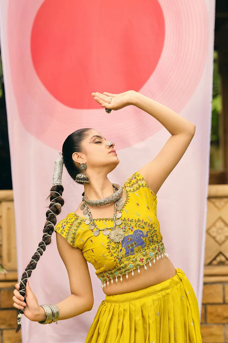 Elephant Lehenga-choli