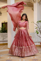 Elegant Ethnic lehenga choli