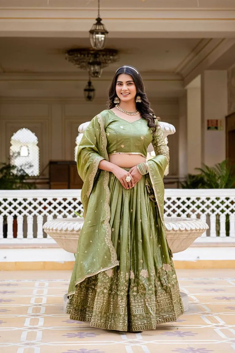 Elegant Ethnic lehenga choli