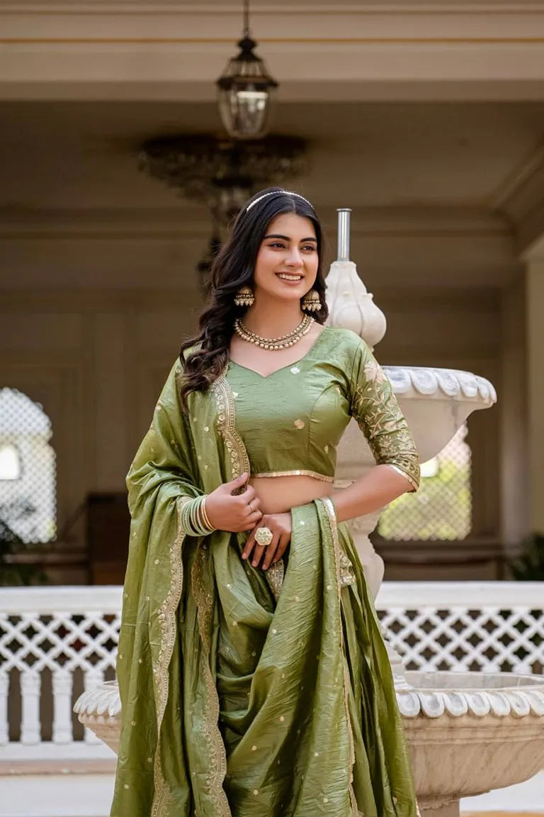 Elegant Ethnic lehenga choli