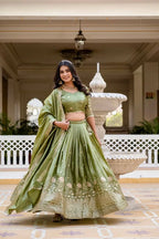 Elegant Ethnic lehenga choli