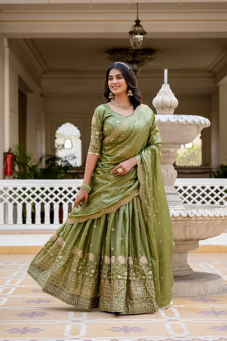Elegant Ethnic lehenga choli